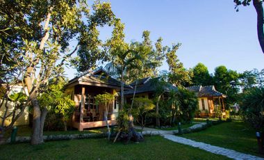 Popular Hostel In a Great Location For Sale In Pai