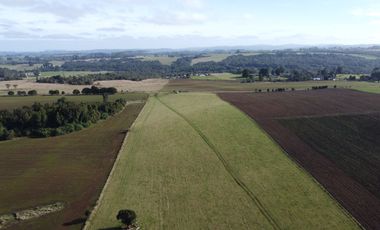 Campo en venta en Los Muermos de 199 hectáreas apto para ganadería, siembra y conservación