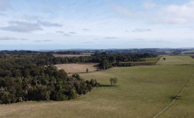 Campo en venta en Los Muermos de 199 hectáreas apto para ganadería, siembra y conservación
