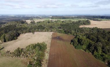 Campo en venta en Los Muermos de 199 hectáreas apto para ganadería, siembra y conservación