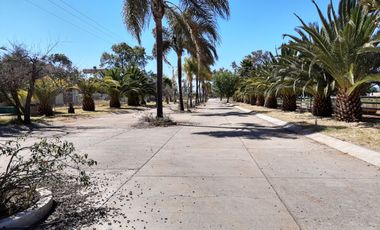 BODEGA EN RENTA ARANDAS 1000M2