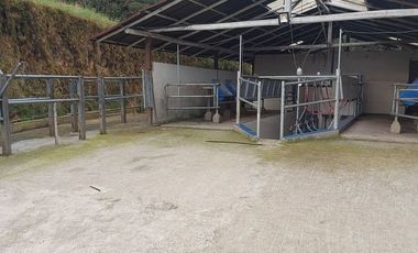 hacienda lechera ganadera de venta sector vía a soldados a 12 minutos de Cuenca