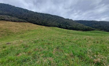 hacienda lechera ganadera de venta sector vía a soldados a 12 minutos de Cuenca