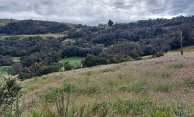 hacienda lechera ganadera de venta sector vía a soldados a 12 minutos de Cuenca