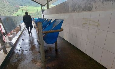 hacienda lechera ganadera de venta sector vía a soldados a 12 minutos de Cuenca