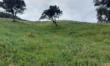 hacienda lechera ganadera de venta sector vía a soldados a 12 minutos de Cuenca