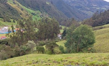 hacienda lechera ganadera de venta sector vía a soldados a 12 minutos de Cuenca