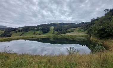 hacienda lechera ganadera de venta sector vía a soldados a 12 minutos de Cuenca