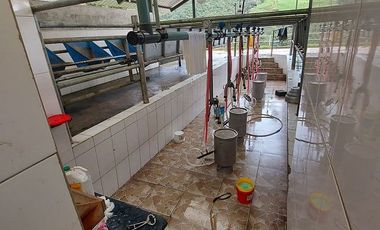 hacienda lechera ganadera de venta sector vía a soldados a 12 minutos de Cuenca