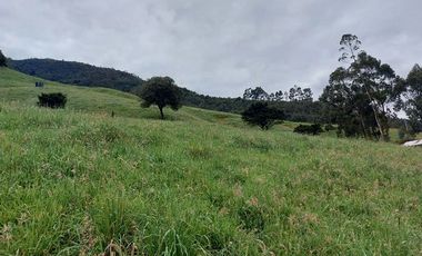 hacienda lechera ganadera de venta sector vía a soldados a 12 minutos de Cuenca