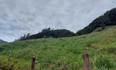 hacienda lechera ganadera de venta sector vía a soldados a 12 minutos de Cuenca