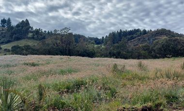 hacienda lechera ganadera de venta sector vía a soldados a 12 minutos de Cuenca