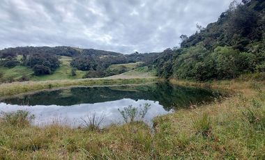 hacienda lechera ganadera de venta sector vía a soldados a 12 minutos de Cuenca