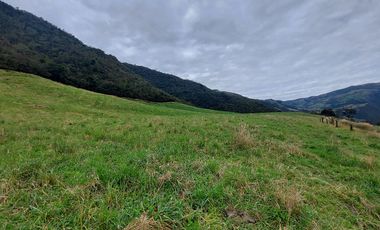 hacienda lechera ganadera de venta sector vía a soldados a 12 minutos de Cuenca