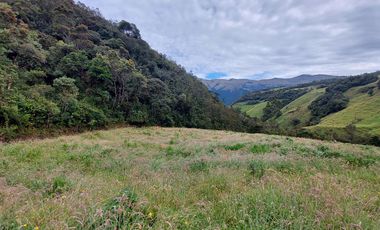 hacienda lechera ganadera de venta sector vía a soldados a 12 minutos de Cuenca