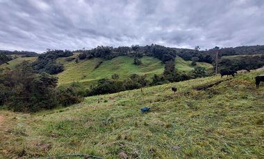 hacienda lechera ganadera de venta sector vía a soldados a 12 minutos de Cuenca