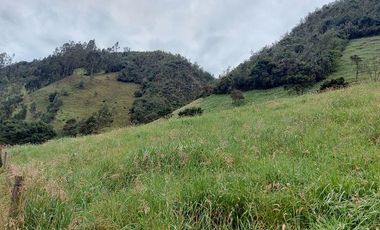 hacienda lechera ganadera de venta sector vía a soldados a 12 minutos de Cuenca