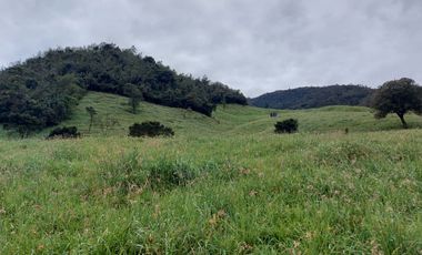 hacienda lechera ganadera de venta sector vía a soldados a 12 minutos de Cuenca