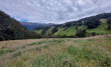 hacienda lechera ganadera de venta sector vía a soldados a 12 minutos de Cuenca