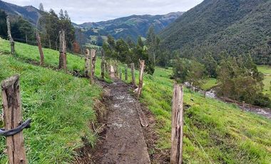 hacienda lechera ganadera de venta sector vía a soldados a 12 minutos de Cuenca