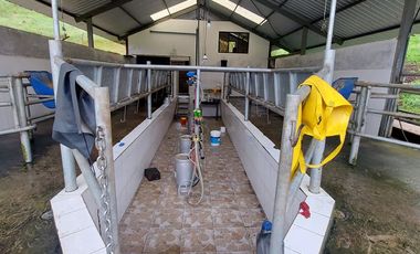 hacienda lechera ganadera de venta sector vía a soldados a 12 minutos de Cuenca