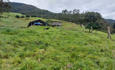 hacienda lechera ganadera de venta sector vía a soldados a 12 minutos de Cuenca