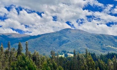 Casa de lujo en venta con 5 dormitorios, rodeada de naturaleza.