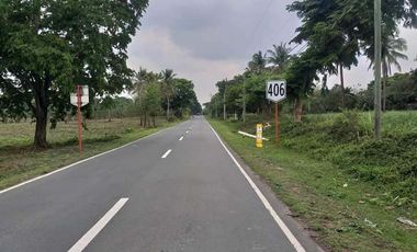 154-Hectare Lot: The Perfect Investment for Your Business or Home loc. in Magallanes cavite , close to  Tagaytay Nasugbu road FOR SALE