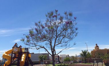 Terreno en venta de 250 m2 en Las Plazas super ubicado  Oportunidad