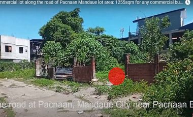 Commercial lot along the road of Pacnaan Mandaue lot area: 1255sqm for any commercial building
