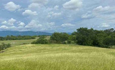 Finca ( Ganadera - Piscicultura - Agricultura )
