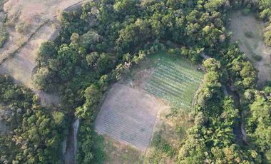 Finca ( Ganadera - Piscicultura - Agricultura )