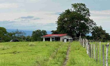 Finca ( Ganadera - Piscicultura - Agricultura )