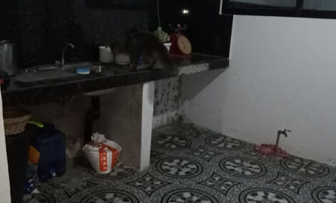 HOUSE AND LOT FOR SALE IN PAMPANGA