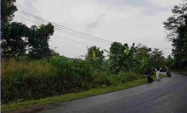 Tanah 902 m² di Cilograng Lebak Banten