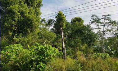 Tanah 902 m² di Cilograng Lebak Banten