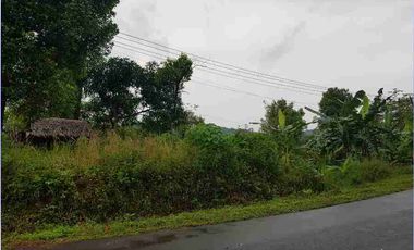Tanah 902 m² di Cilograng Lebak Banten