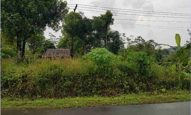 Tanah 902 m² di Cilograng Lebak Banten