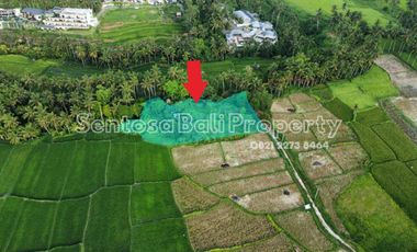 Land sale in Lodtunduh ubud bali View greenbelt and river