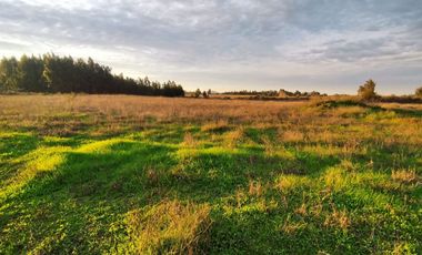 Se vende Terreno de 5000 en Linares