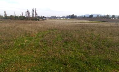 Se vende Terreno de 5000 en Linares