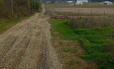 Se vende Terreno de 5000 en Linares