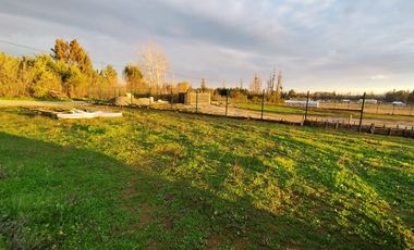 Se vende Terreno de 5000 en Linares