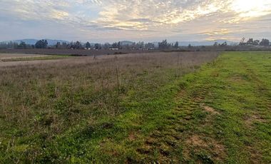 Se vende Terreno de 5000 en Linares