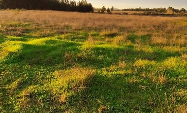 Se vende Terreno de 5000 en Linares