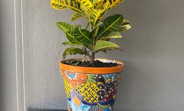 LOFT EN VENTA. PUEBLA CENTRO. EXCELENTE UBICACIÓN.