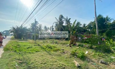 Commercial Lot for Lease located in Looc, Panglao Island, Bohol