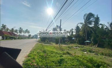 Commercial Lot for Lease located in Looc, Panglao Island, Bohol