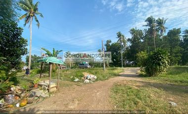 Commercial Lot for Lease located in Looc, Panglao Island, Bohol