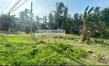 Commercial Lot for Lease located in Looc, Panglao Island, Bohol